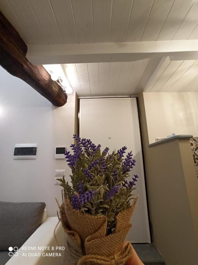 Antico-Vicolo Appartamento Viviana Vercelli Bagian luar foto